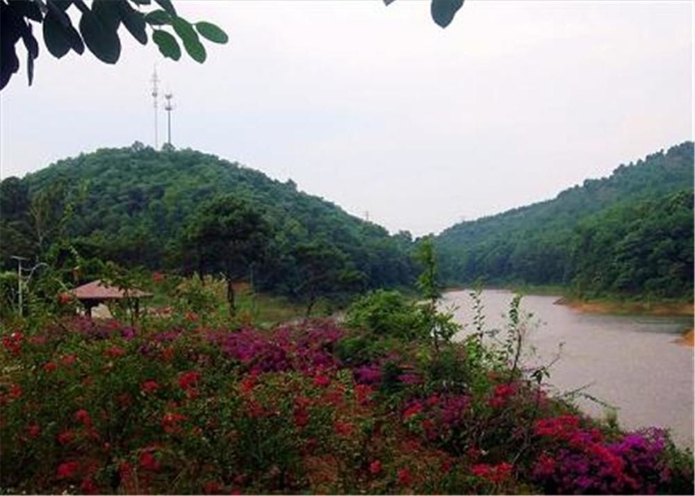 Phoenix Hotel Wuyi 江门 外观 照片